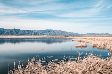 北师大珠海校区(北师大珠海校区：欢迎来到学术和艺术的乐园)