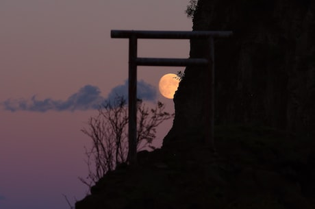 余倩雯(余倩雯名下公司被立案调查，引起业界热议)