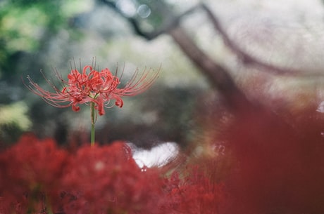 上错花轿嫁对郎剧照(最新曝光！《上错花轿嫁对郎》剧照首曝光啦！)