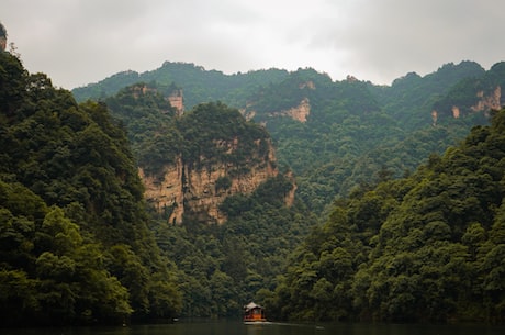 张家界景区跳崖事件知情导游(张家界景区跳崖事件知情导游过错重大)