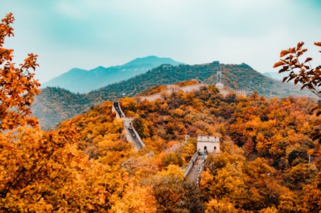 朱峰官晶晶(朱峰官晶晶的婚礼现场曝光)