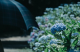 张雨剑微博(张雨剑微博爆料：大秘密即将揭晓)