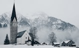 六月雪盆景（六月雪盆景：夏日的清凉胜地）