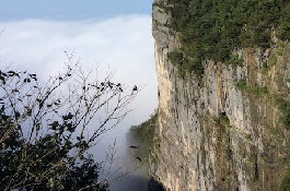 张俊以简历，娱乐圈不得不谈的热门话题