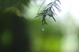 宁陵天气预告-天降大雨！畅游山水间别有一番风味